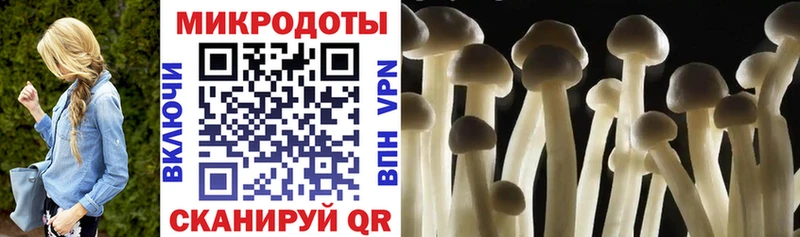 дарнет шоп  Усть-Кут  Галлюциногенные грибы прущие грибы 