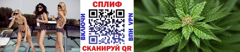 купить наркотик Усть-Кут Бошки Шишки индика